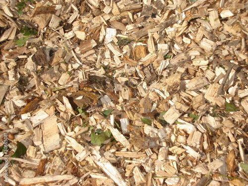 Holzschnipsel