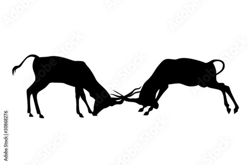 two antelope fight black silhouettes