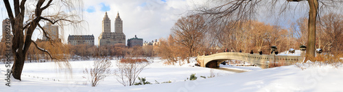 New York City Manhattan Central Park panorama in winter