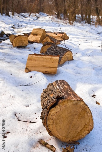 wooden logs in a snowbound forest © Yuriy Kulik