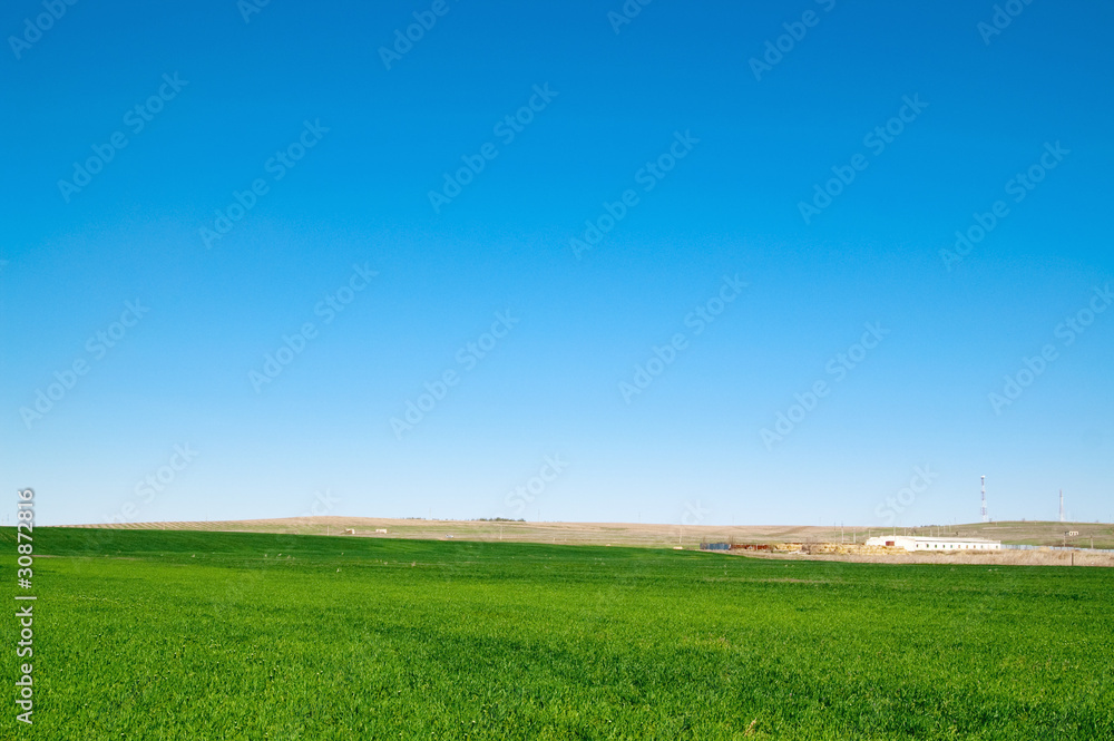 Fototapeta premium landscape