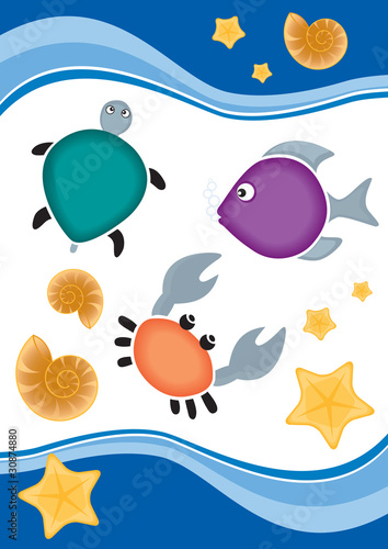 sea animal