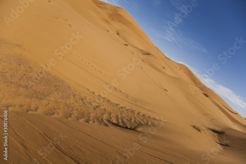 Landscape of desert