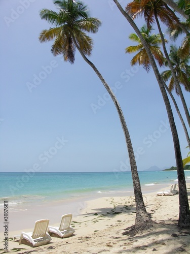 Martinique - Sainte-Anne : Plage des Salines photo