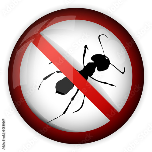 No Insects