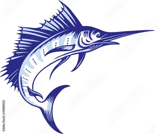 Swordfish