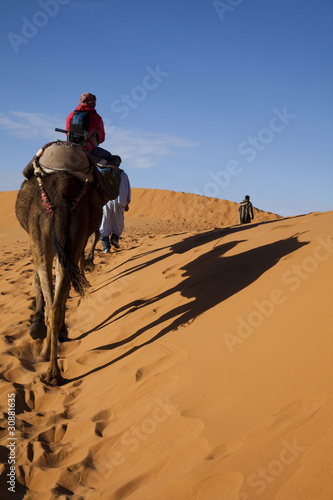 Moroccan desert dune  merzouga