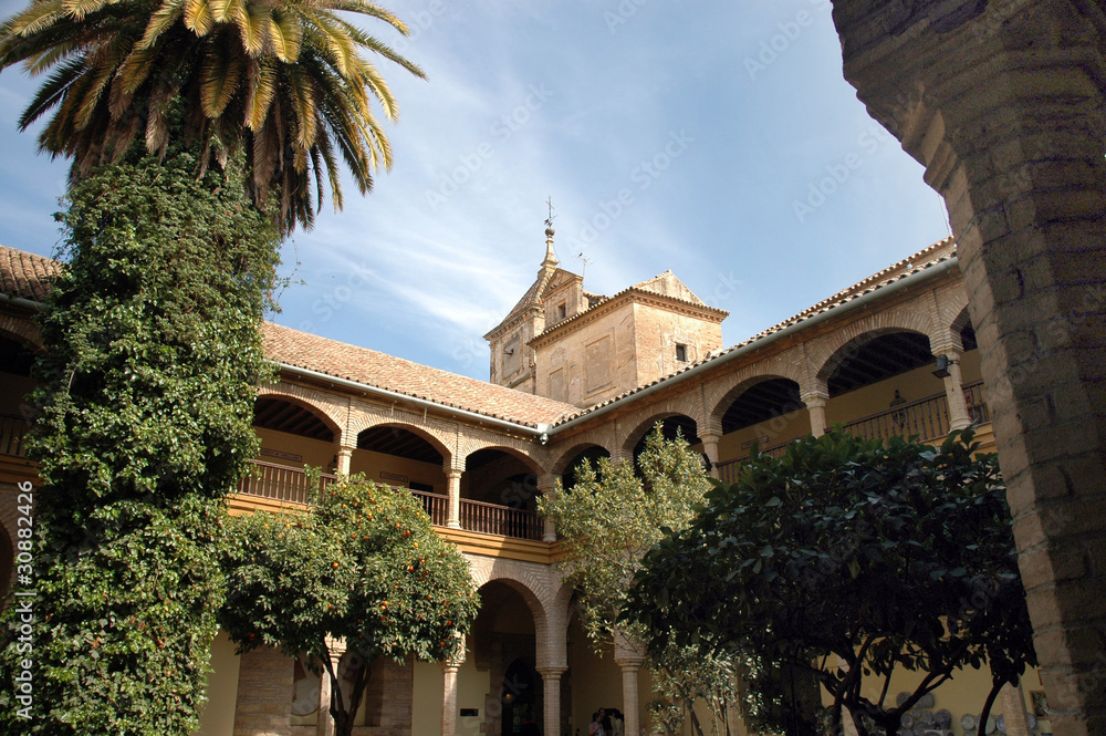 Obraz premium Cathedral in Cordoba Andalucia Spain