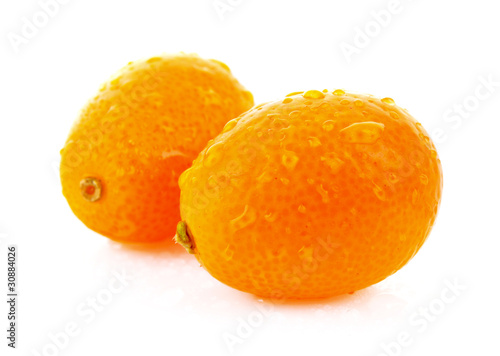 two kumquates  isolated on white