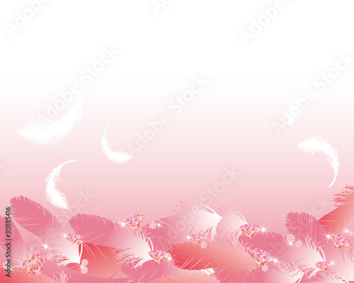 jewelry and feather background