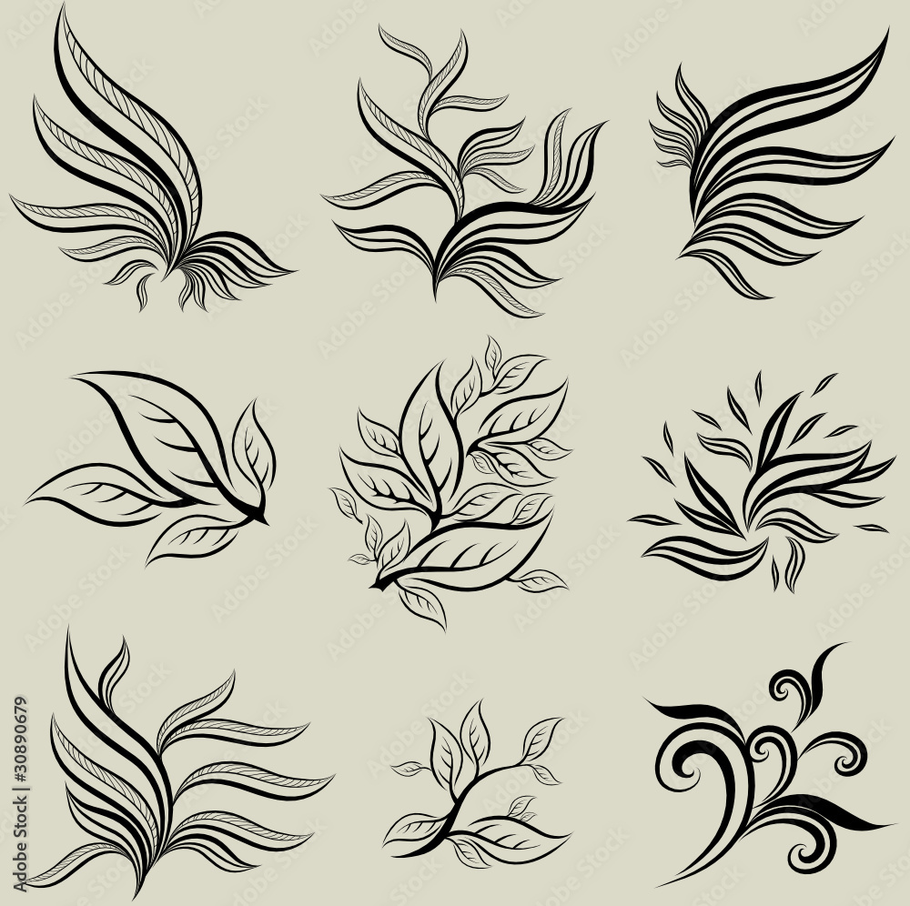 Fototapeta premium Vector set of leafs design elements