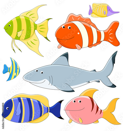Vector collection of fish