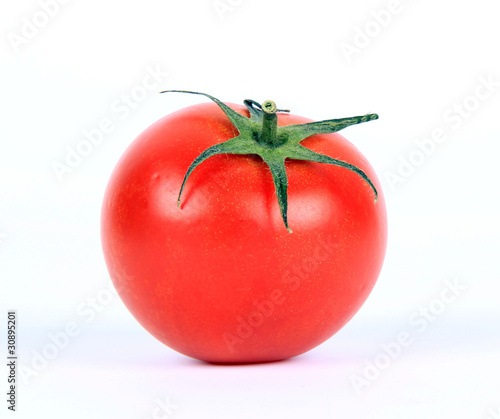 Tomato on white