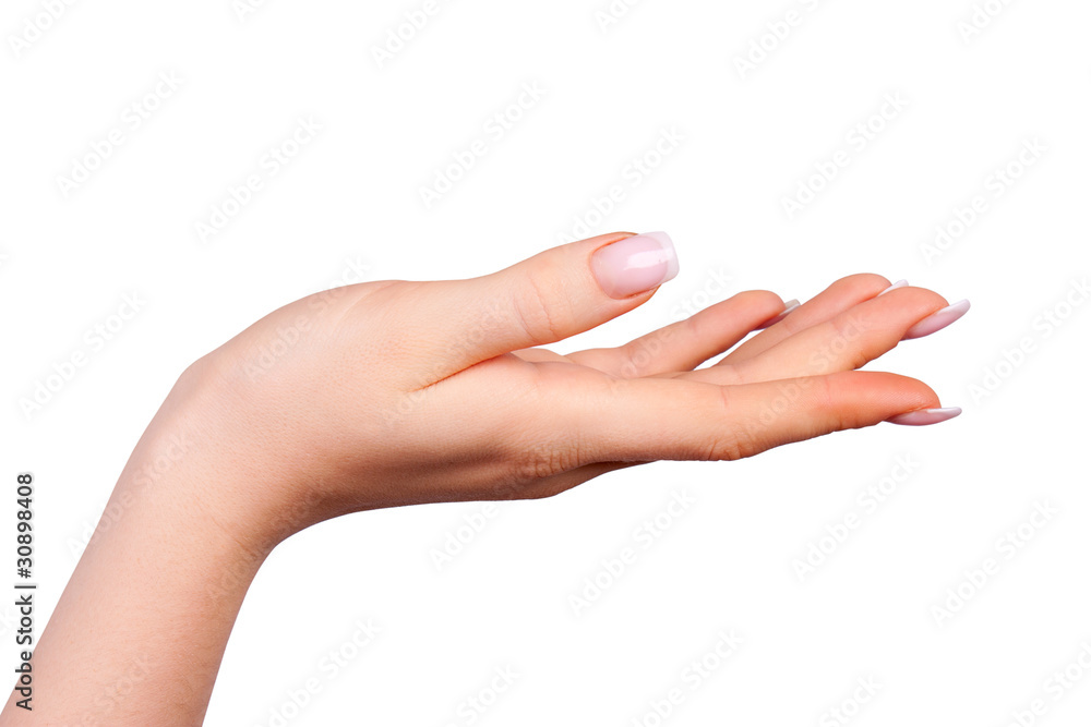 Beautiful female hand with french manicure Beautiful female hand with french manicure