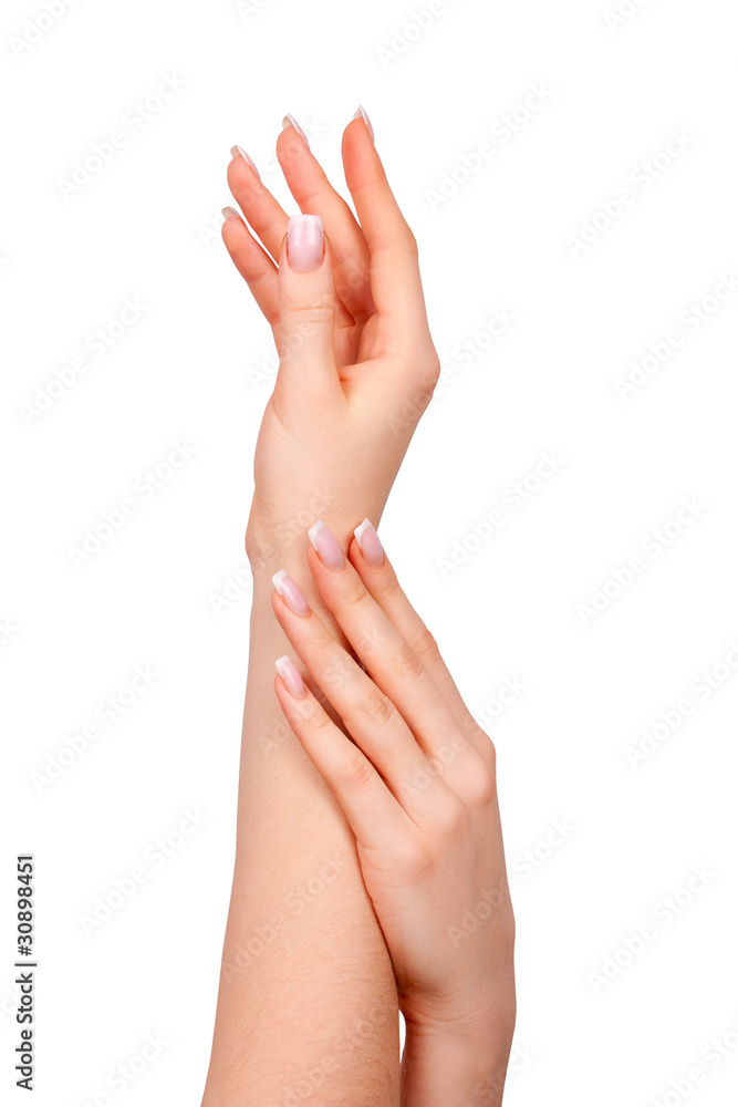Beautiful female hands with french manicure Beautiful female hands with french manicure