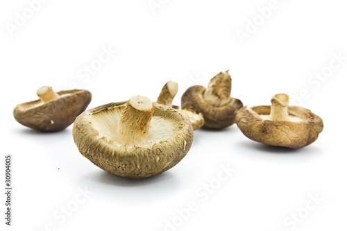 Fresh straw mushroom isolated on white background