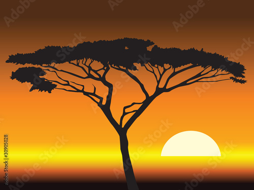 african sunset background.vector illustration