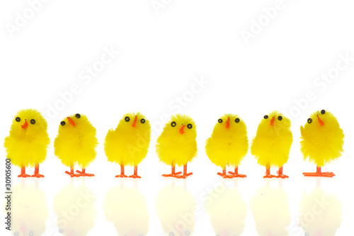 Photo Easter chicks