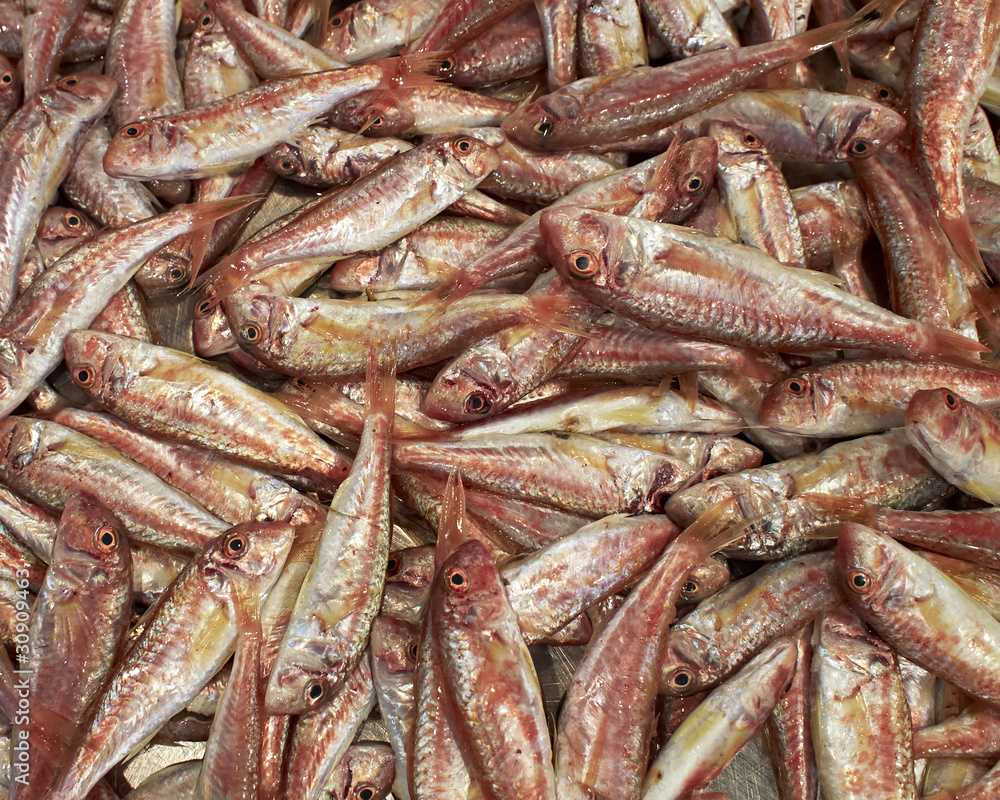 mullets fish at the central market, natural background mullets fish at the central market, natural background