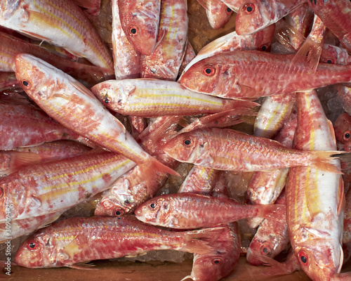 red mullets fish, at the central market