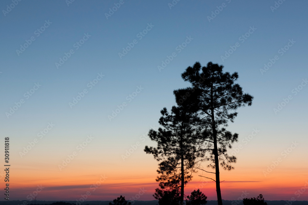 Naklejka premium Seconds After Sunset