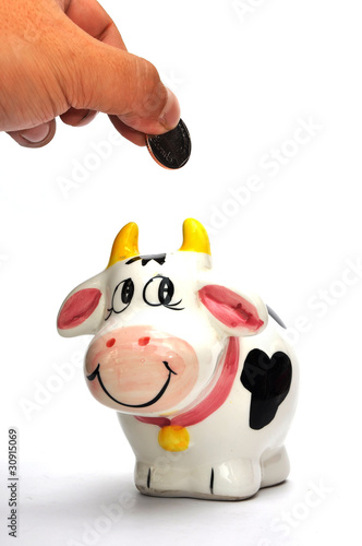 Cow coin box on white background