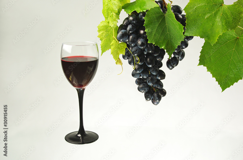 Glass of red wine and grapes Glass of red wine and grapes