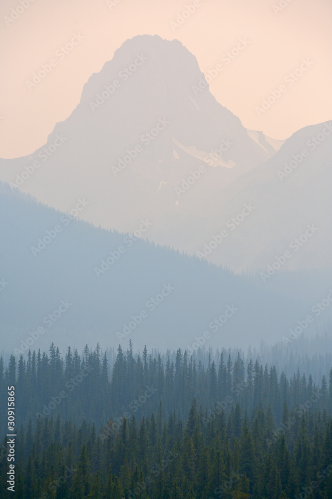 Fototapeta premium Forest Fire smoke