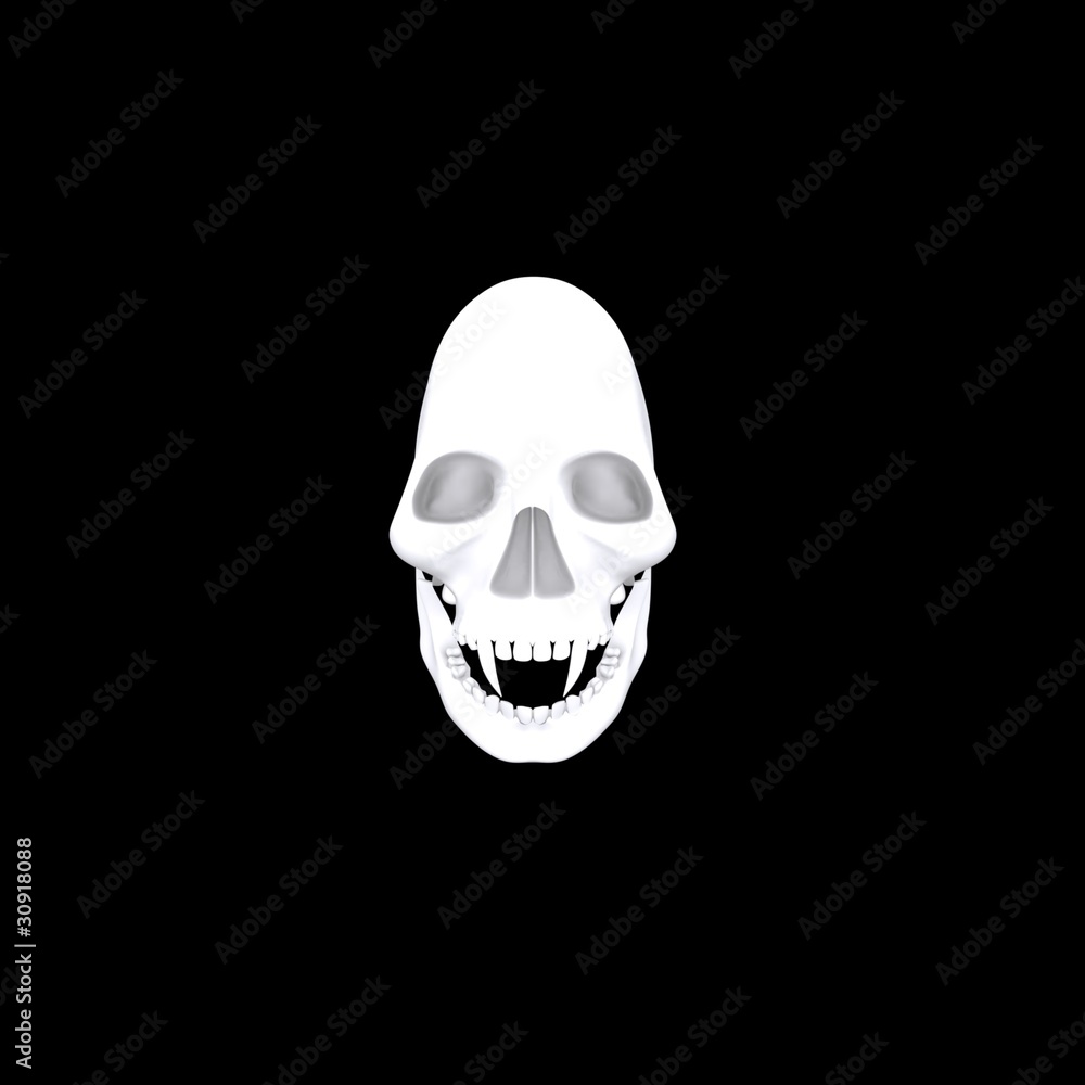 White 3d Skull On Dark Background White 3d Skull On Dark Background