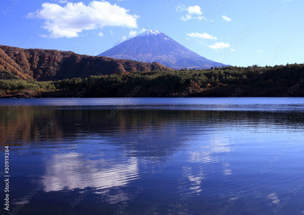 富士山　西湖にて