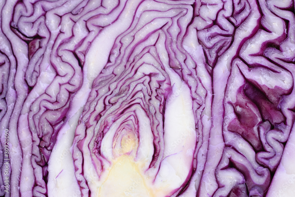 Obraz premium Slices of violet cabbage close up as background