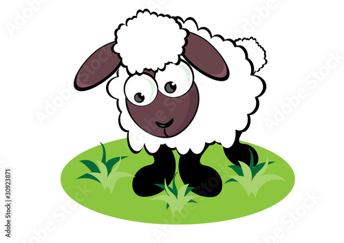 Cartoon Sheep