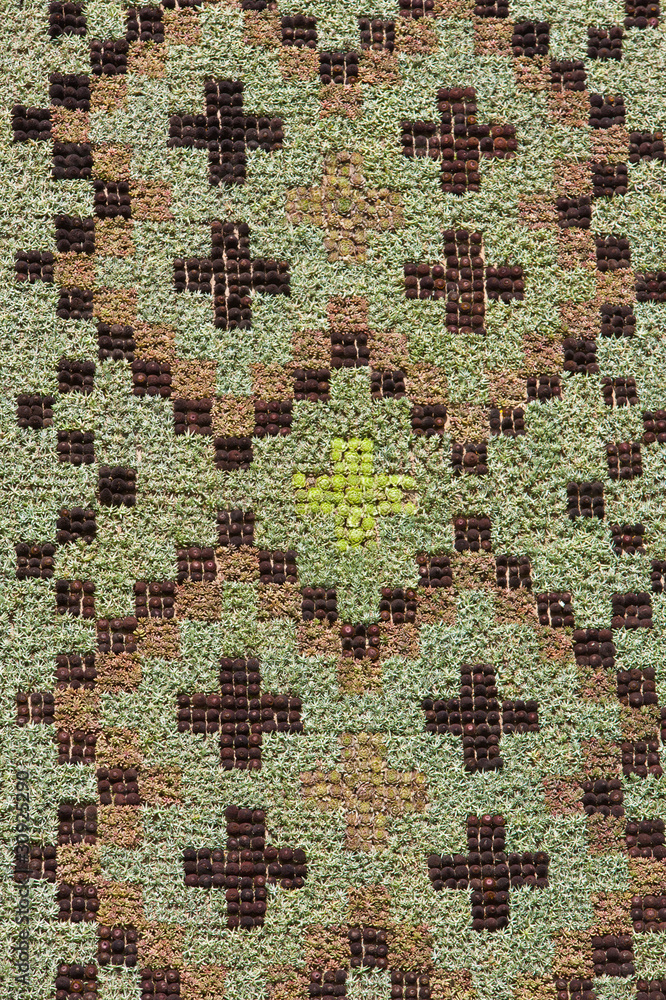 flower design flower design