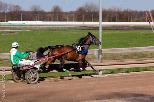 Foto Harness Racing.Trotting horse.