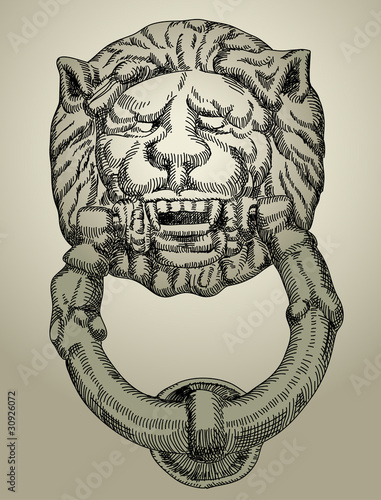 lion