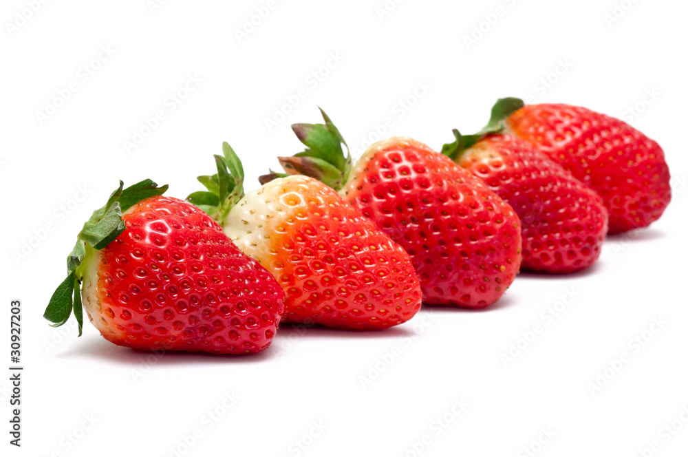 Erdbeeren Erdbeeren