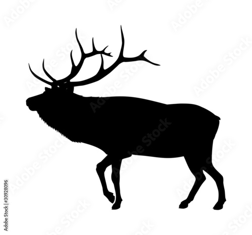 Vector black elk