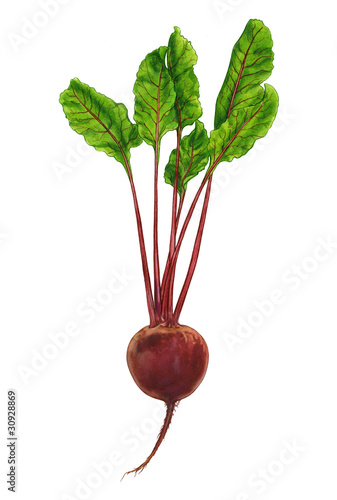 Obraz w ramie beetroot