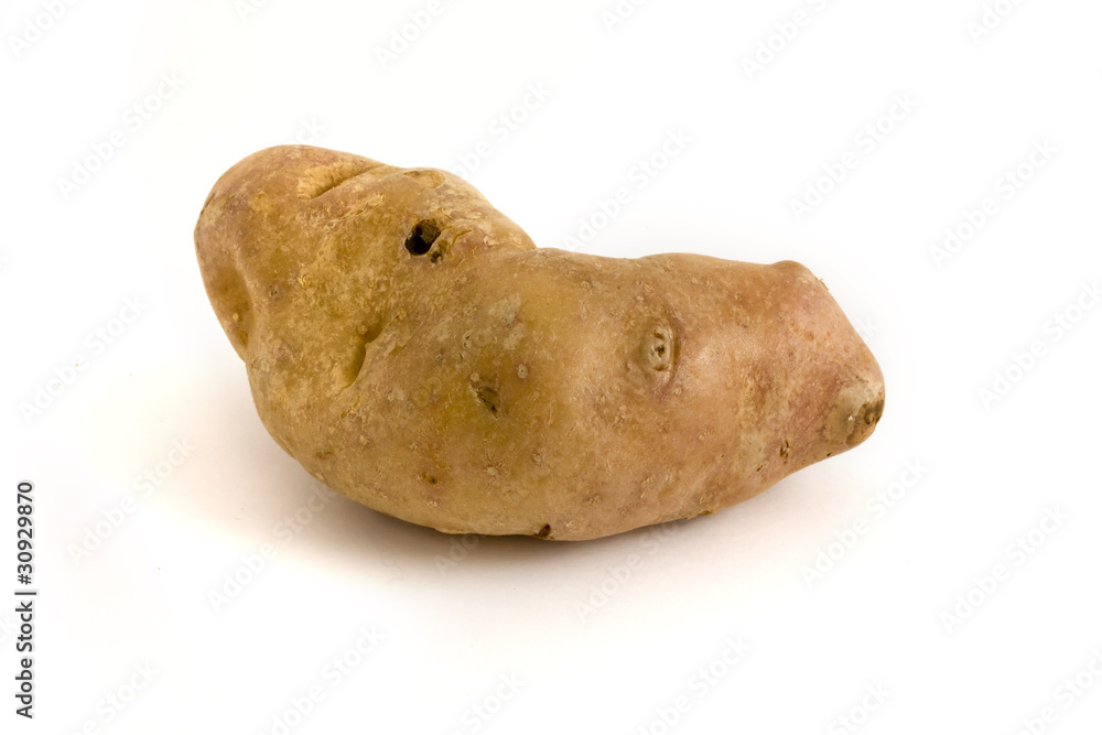 single misshapen potato over white single misshapen potato over white