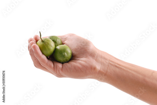 Hand Holding Limes