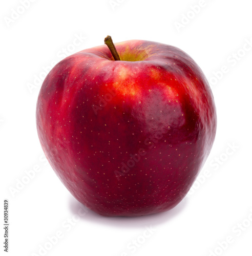 Ripe and juicy red apple a shank upwards isolated on a white