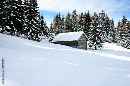 cottage in snow © miro kovacevic