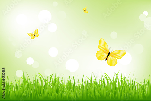 Green Grass And Yellow Butterflies © iadams