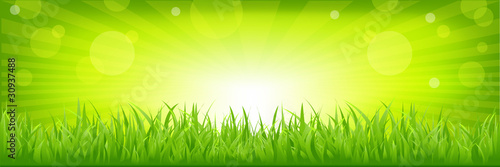 Grass With Green Background