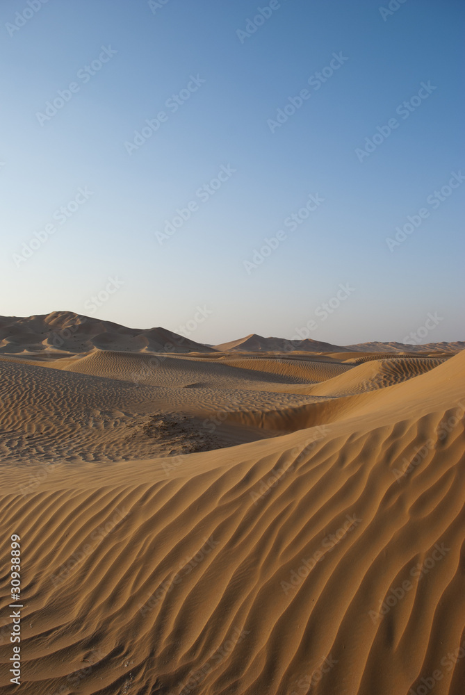 Fototapeta premium Sanddünen