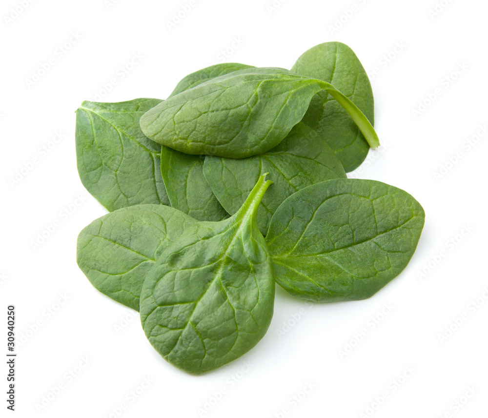 Baby Spinach Baby Spinach