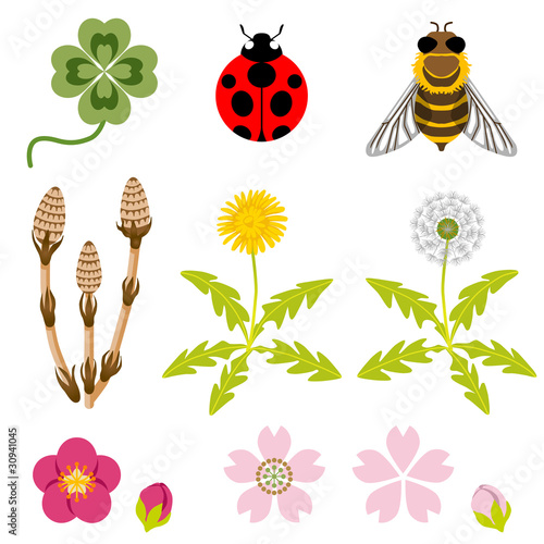 spring icon