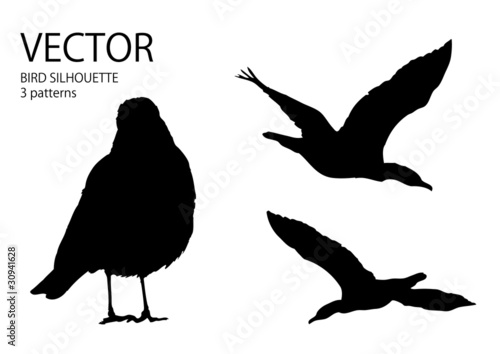 Silhouette bird(3 pattern)