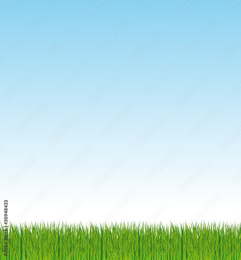 Fresh green grass background with blue sky Fresh green grass background with blue sky