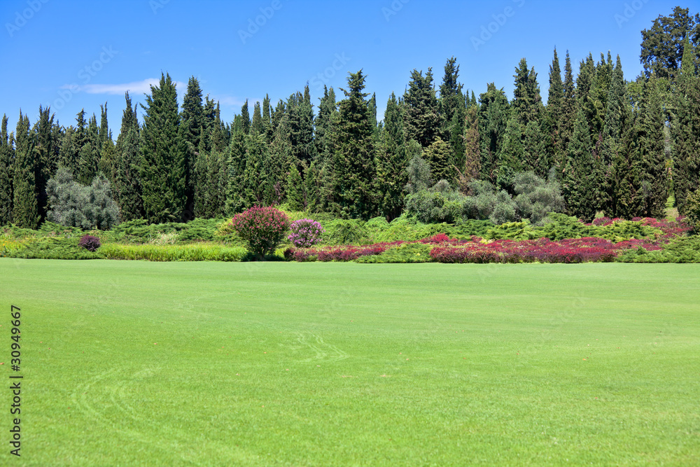 Naklejka premium Summer park
